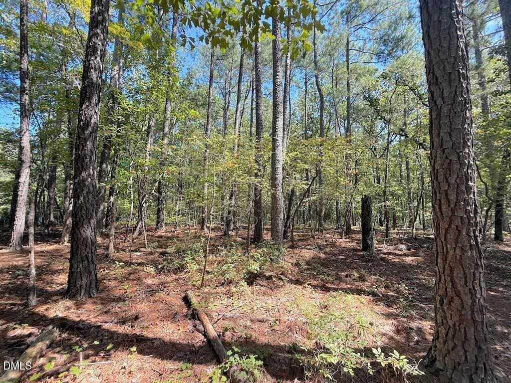 6 - 0 Elfman Drive, Spring Lake, NC 28390