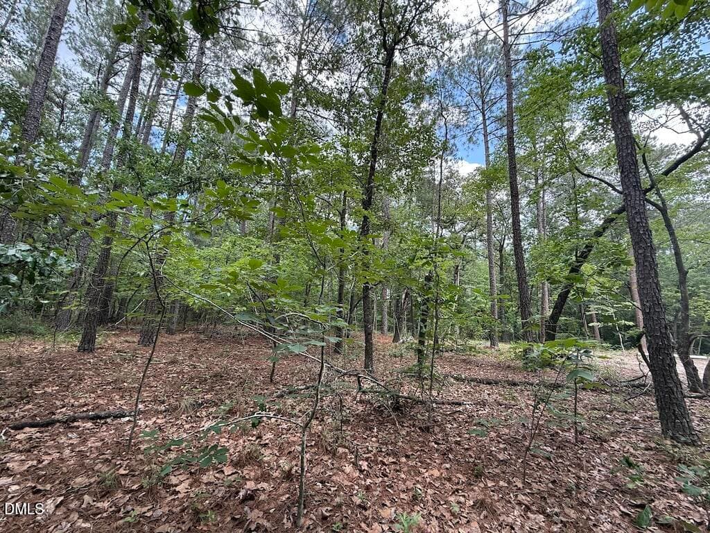 10 - 0 Elfman Drive, Spring Lake, NC 28390