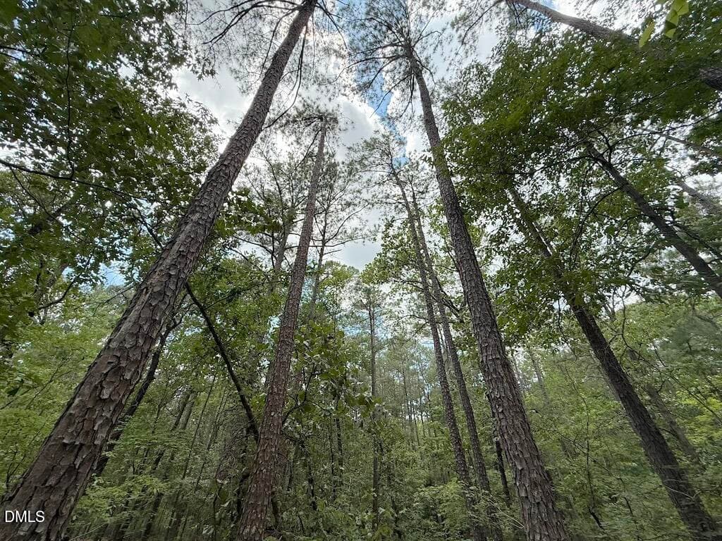 15 - 0 Elfman Drive, Spring Lake, NC 28390