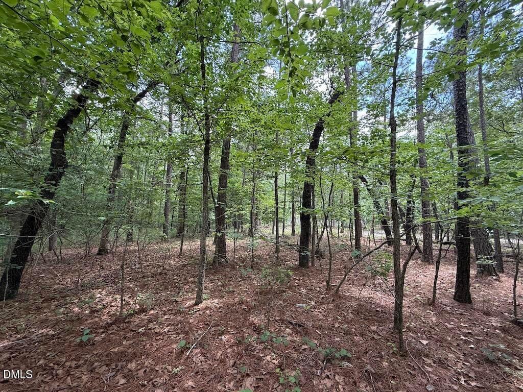 31 - 0 Elfman Drive, Spring Lake, NC 28390