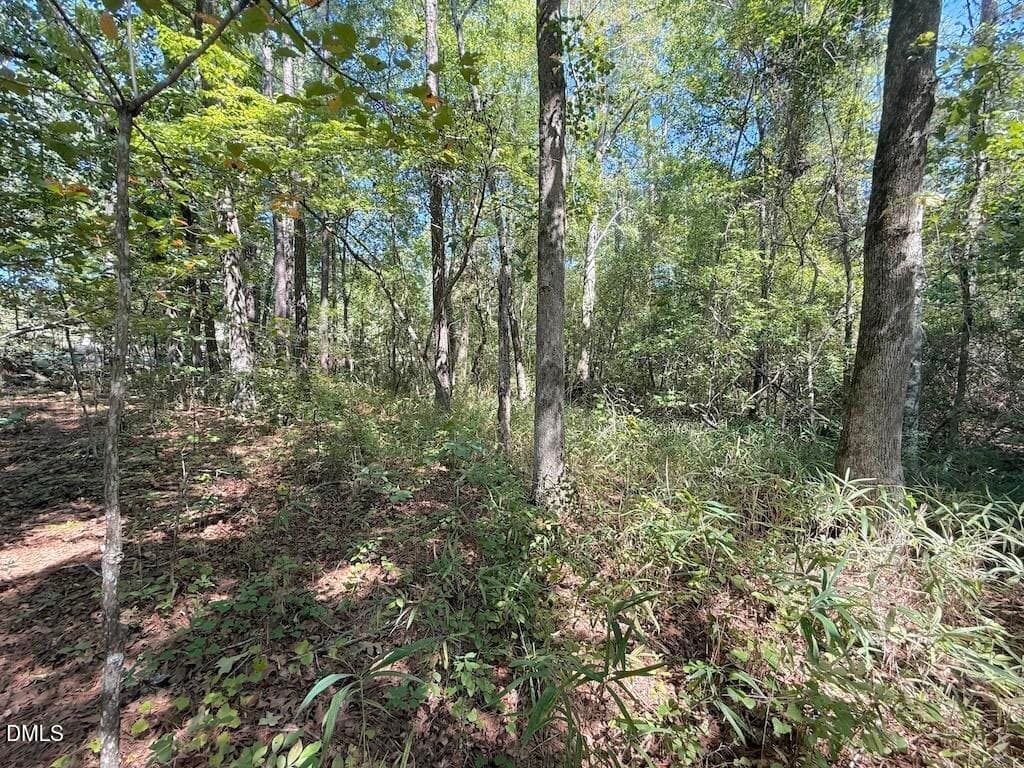 40 - 0 Elfman Drive, Spring Lake, NC 28390