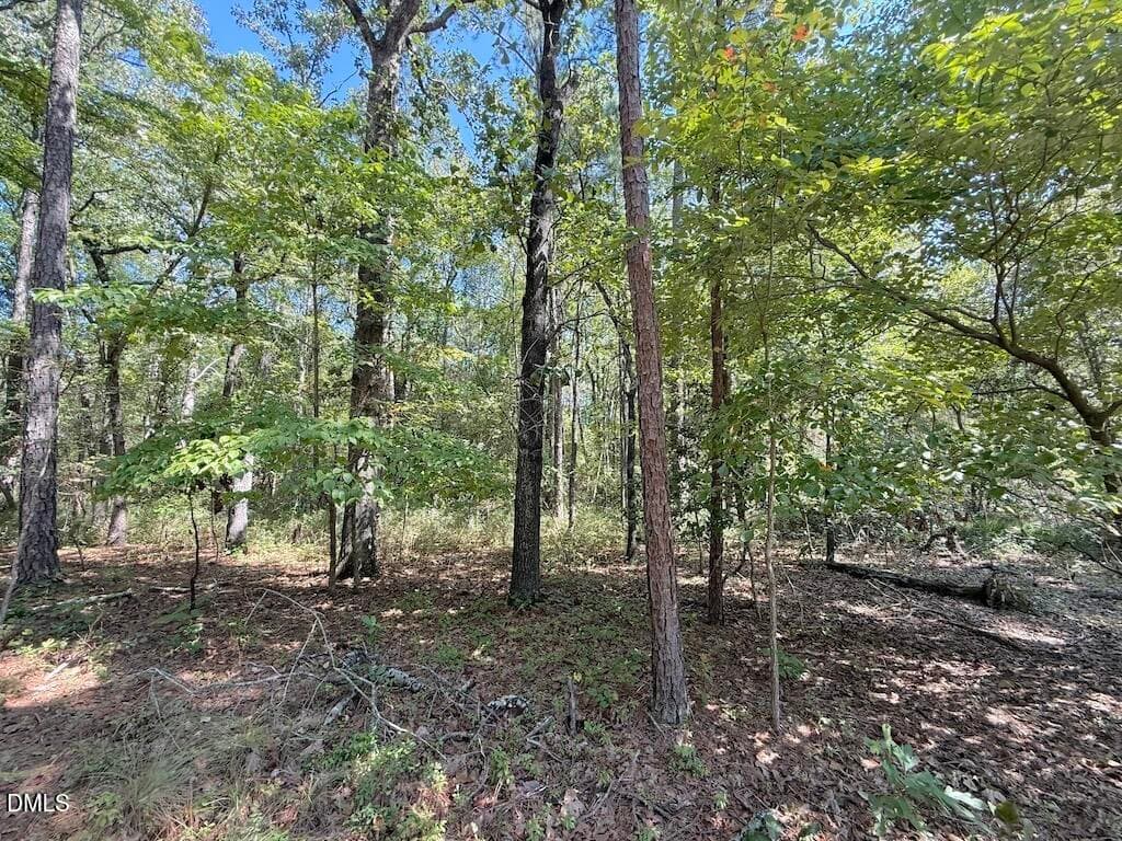 41 - 0 Elfman Drive, Spring Lake, NC 28390