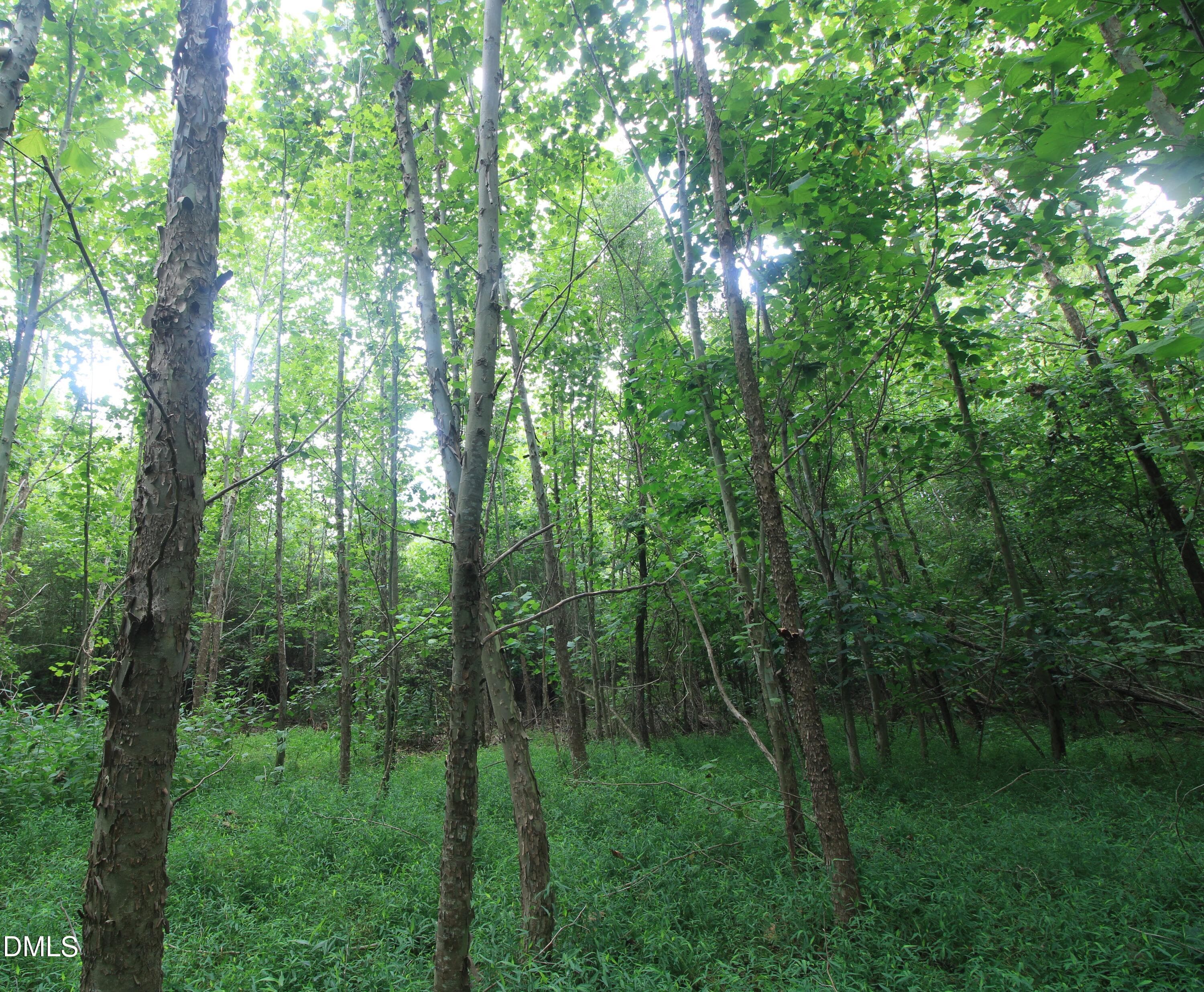 Pic 18 Reidsville - 4220 N Carolina 14, Reidsville, NC 27320