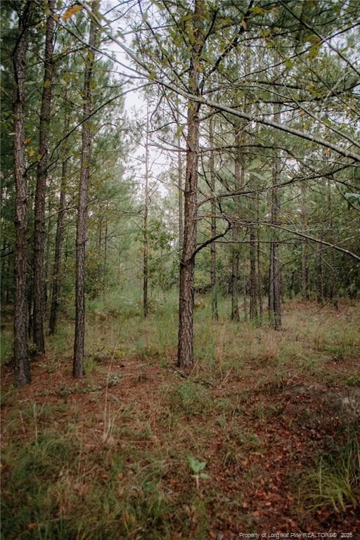 Photo 1 - Lot 1-TBD Nighthawk Loop, Aberdeen, NC 28315