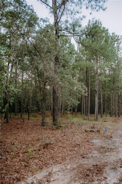 Photo 2 - Lot 1-TBD Nighthawk Loop, Aberdeen, NC 28315