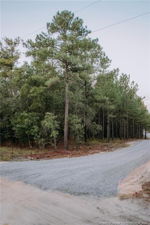 Photo 3 - Lot 1-TBD Nighthawk Loop, Aberdeen, NC 28315