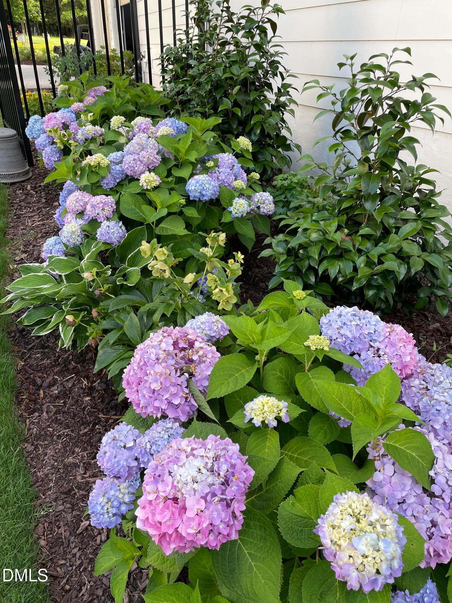 flowers 2 - 1221 Perry Bluff Drive, Wake Forest, NC 27587