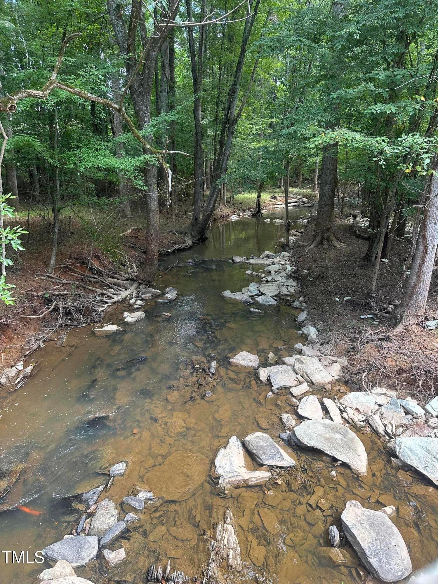 IMG_0890 - Lot 1 Schley Road, Hillsborough, NC 27278, Hillsborough
