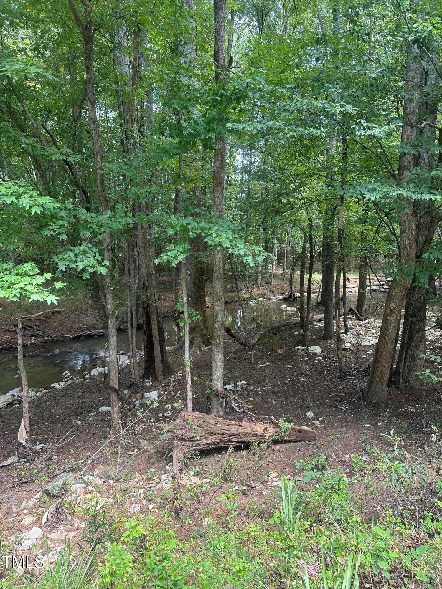 IMG_0898 - Lot 1 Schley Road, Hillsborough, NC 27278, Hillsborough