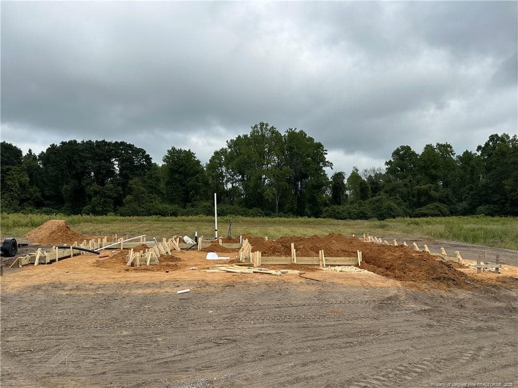 Photo 4 - 104 Rolands Ridge (Lot 5) Road, Autryville, NC 28318, Autryville