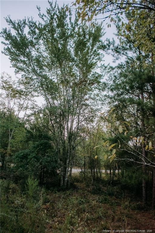 Lot 3-TBD Nighthawk Loop, Aberdeen, NC 28315