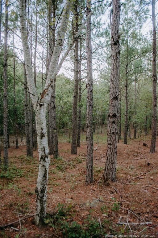 Photo 2 - Lot 3-TBD Nighthawk Loop, Aberdeen, NC 28315