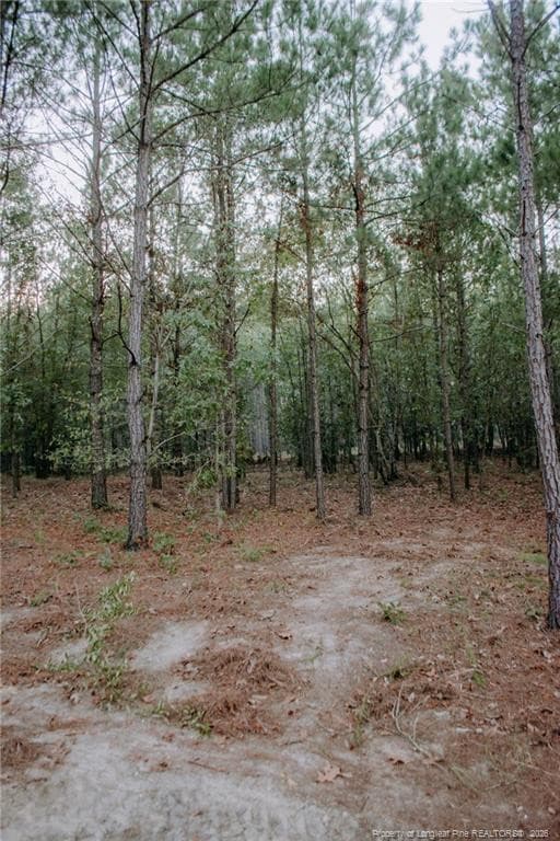 Photo 3 - Lot 3-TBD Nighthawk Loop, Aberdeen, NC 28315