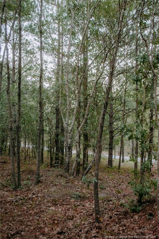 Photo 4 - Lot 3-TBD Nighthawk Loop, Aberdeen, NC 28315