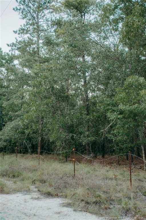 Photo 5 - Lot 3-TBD Nighthawk Loop, Aberdeen, NC 28315