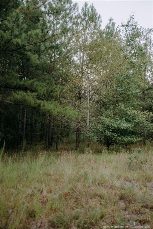 Photo 6 - Lot 3-TBD Nighthawk Loop, Aberdeen, NC 28315