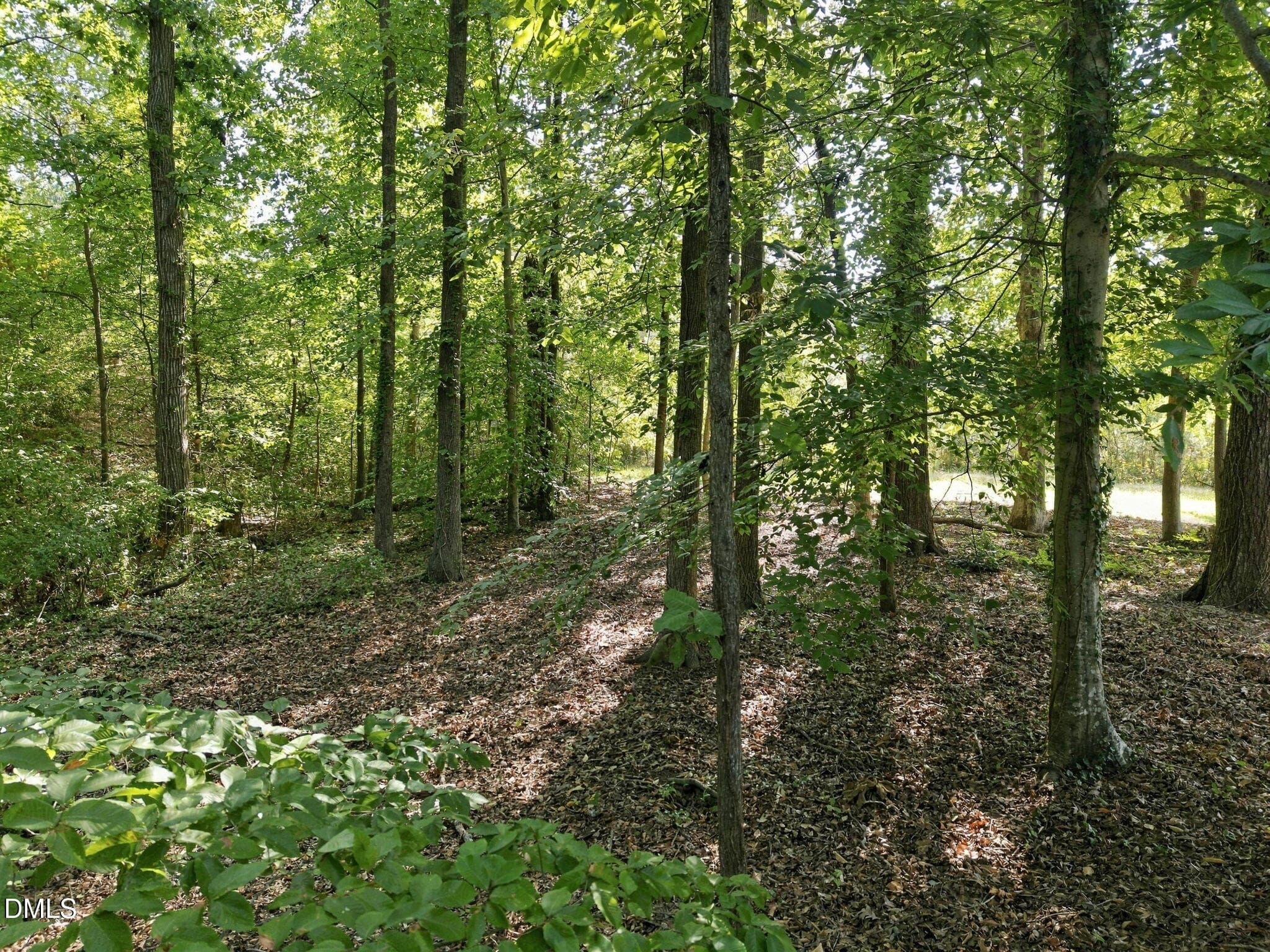 14-web-or-mls-DJI_20260921101936_0227_D - 3349 Cheswick Drive, Raleigh, NC 27609