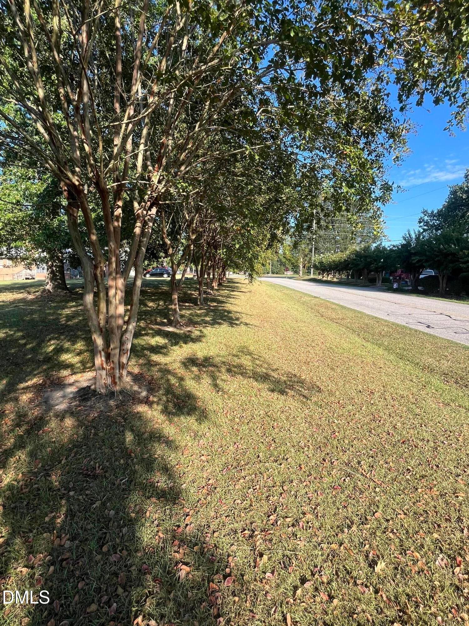 View of Doyle & Zebulon Road - 4035 Doyle Road, Zebulon, NC 27597, Zebulon