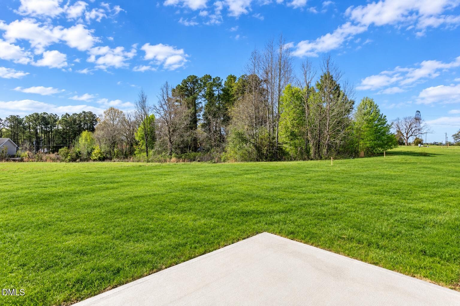 Stanley Backyard - 285 Black Forest Pointe Trail, Benson, NC 27504