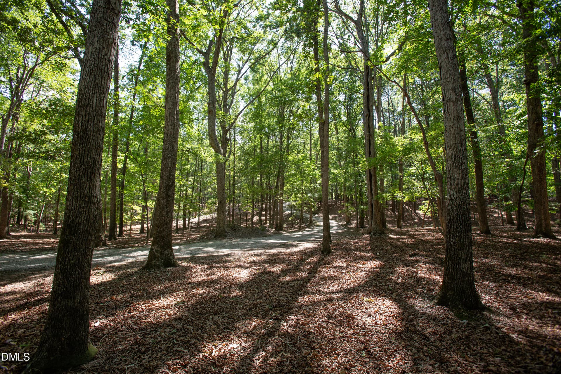 Brassfield 22 - 1716 Brassfield Road, Raleigh, NC 27614