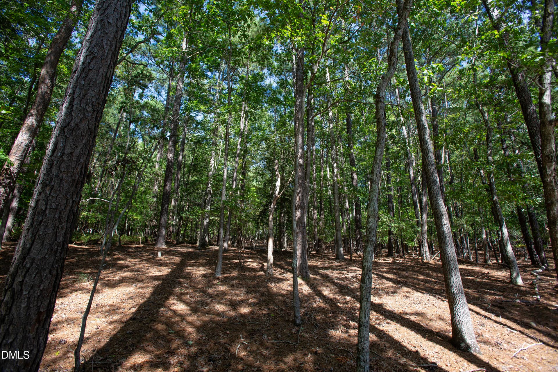Brassfield 14 - 1716 Brassfield Road, Raleigh, NC 27614