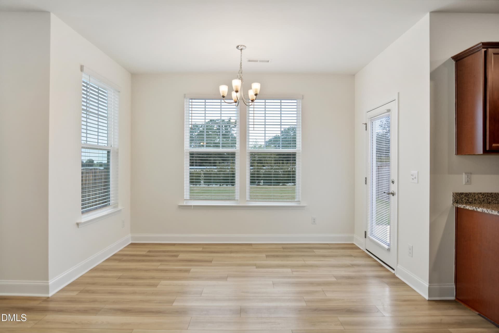 010 - 38 Bluebell Street, Angier, NC 27501
