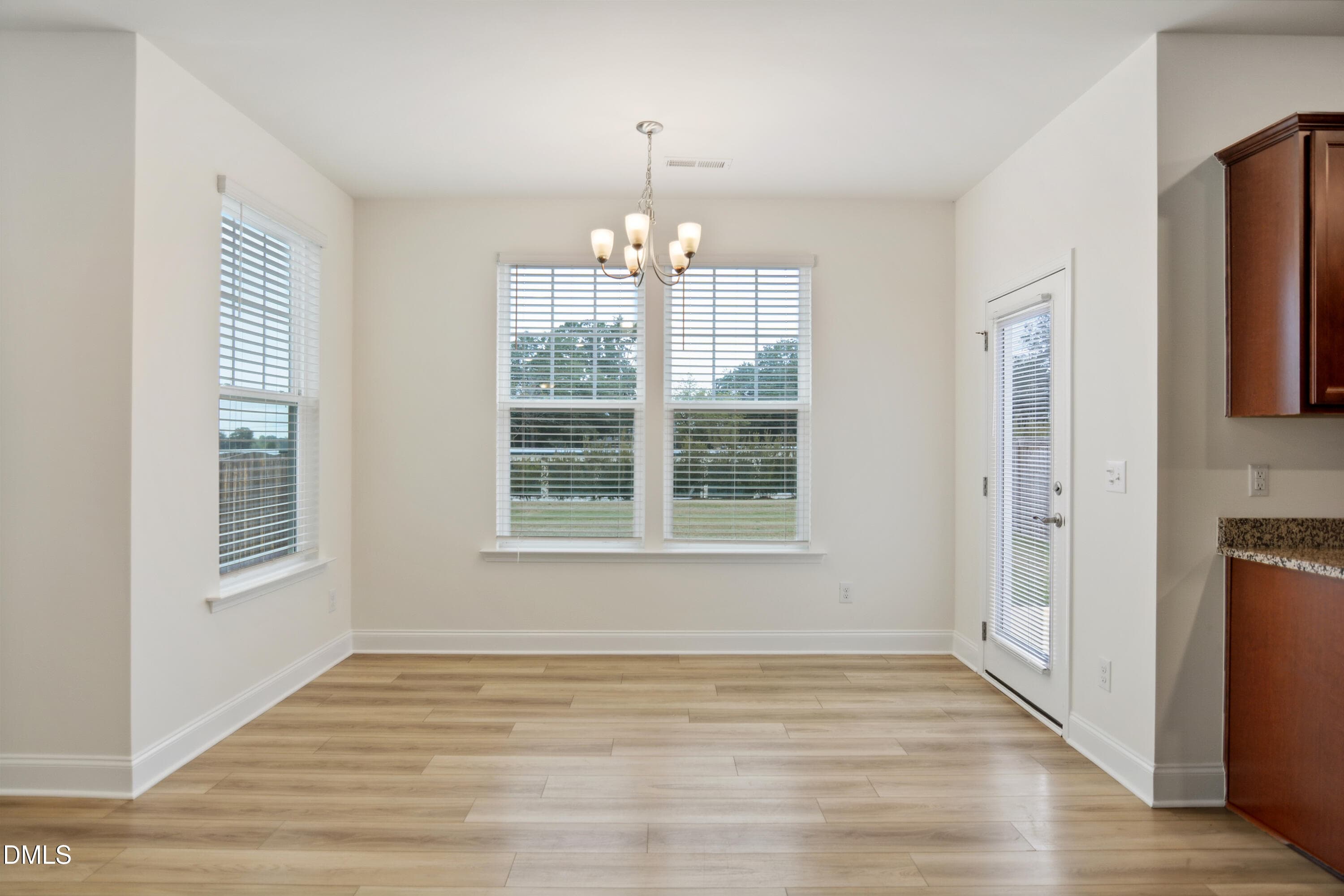010 - 38 Bluebell Street, Angier, NC 27501