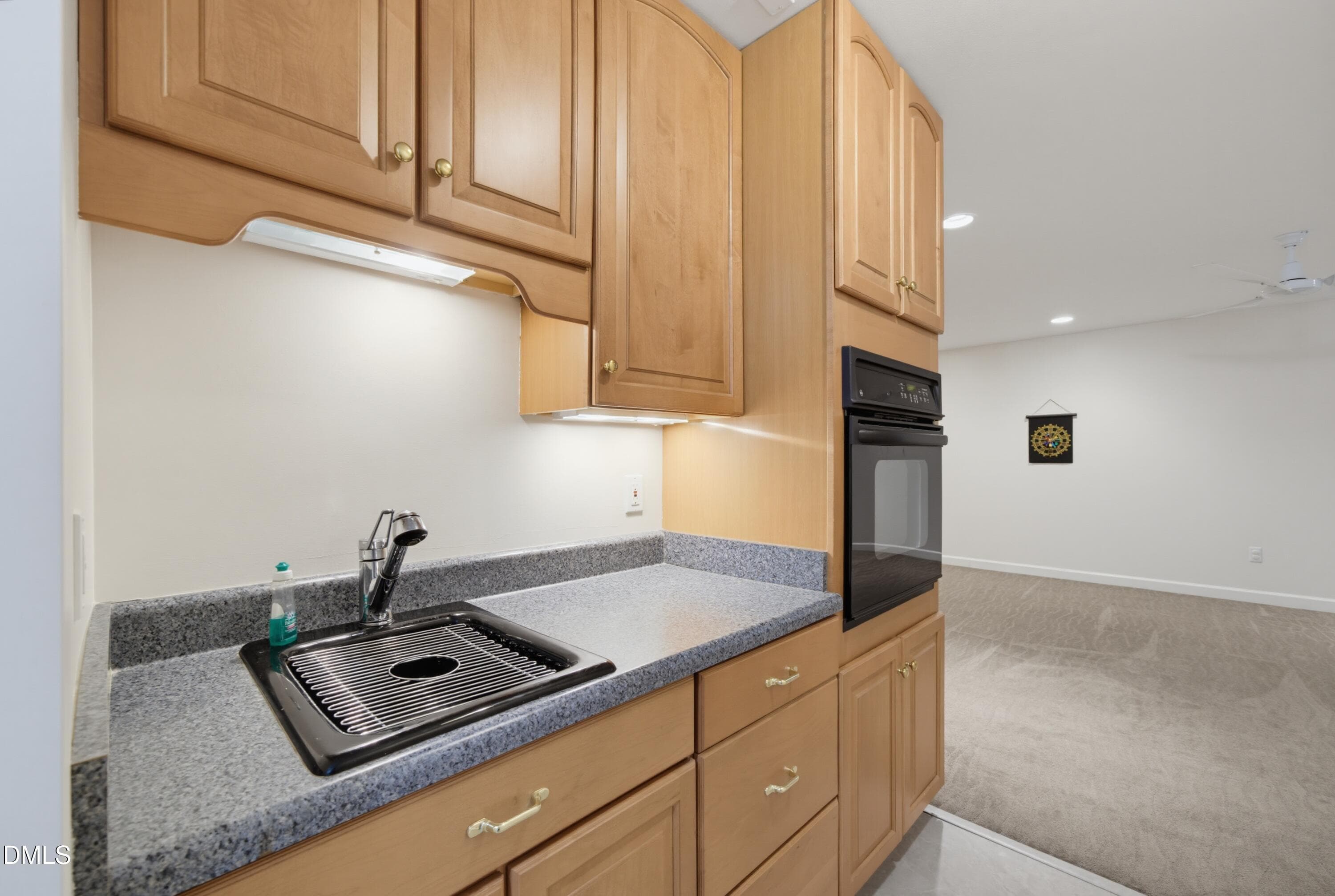 Basement Kitchenette - 1105 Erins Way Lane, Raleigh, NC 27614