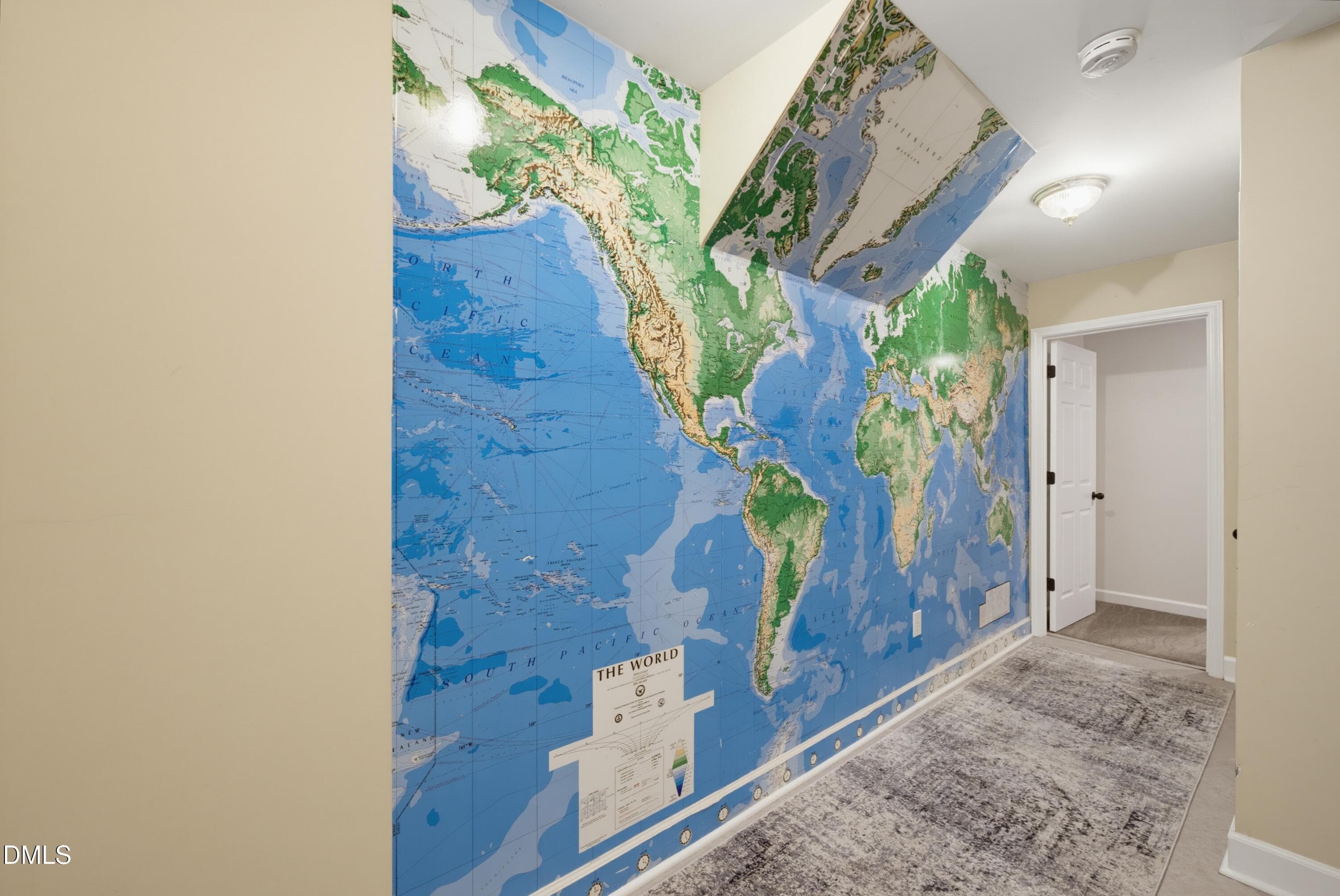 Explore the world in the basement - 1105 Erins Way Lane, Raleigh, NC 27614