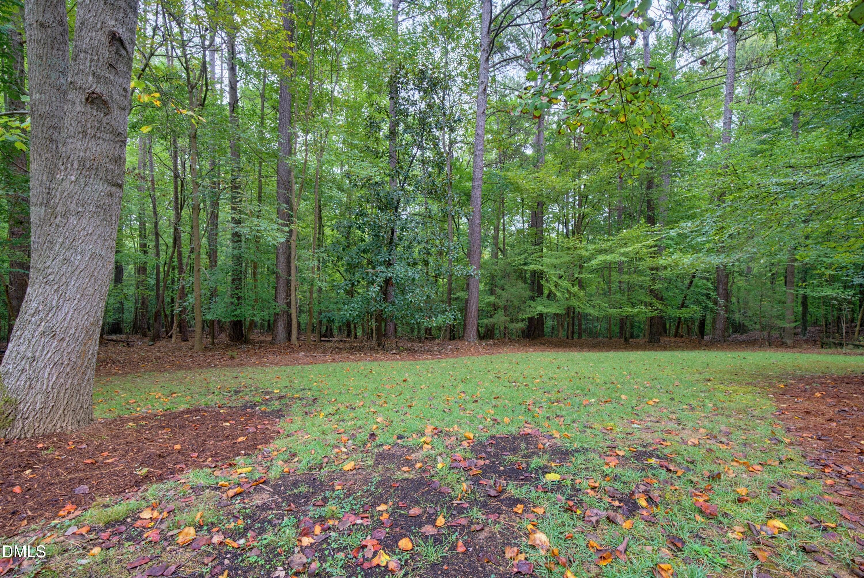 Yard with new seed - 1105 Erins Way Lane, Raleigh, NC 27614