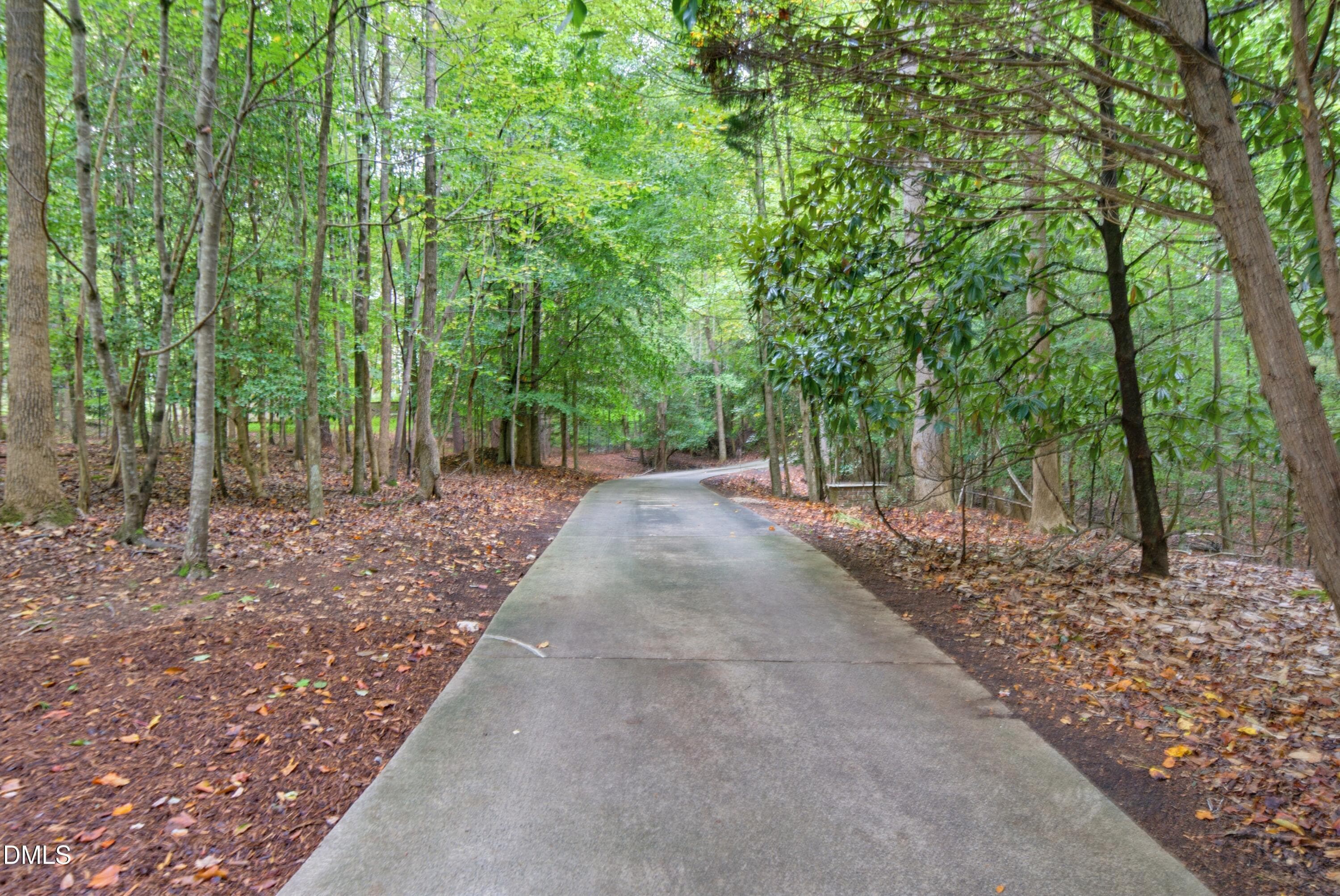 Driveway flatens out - 1105 Erins Way Lane, Raleigh, NC 27614