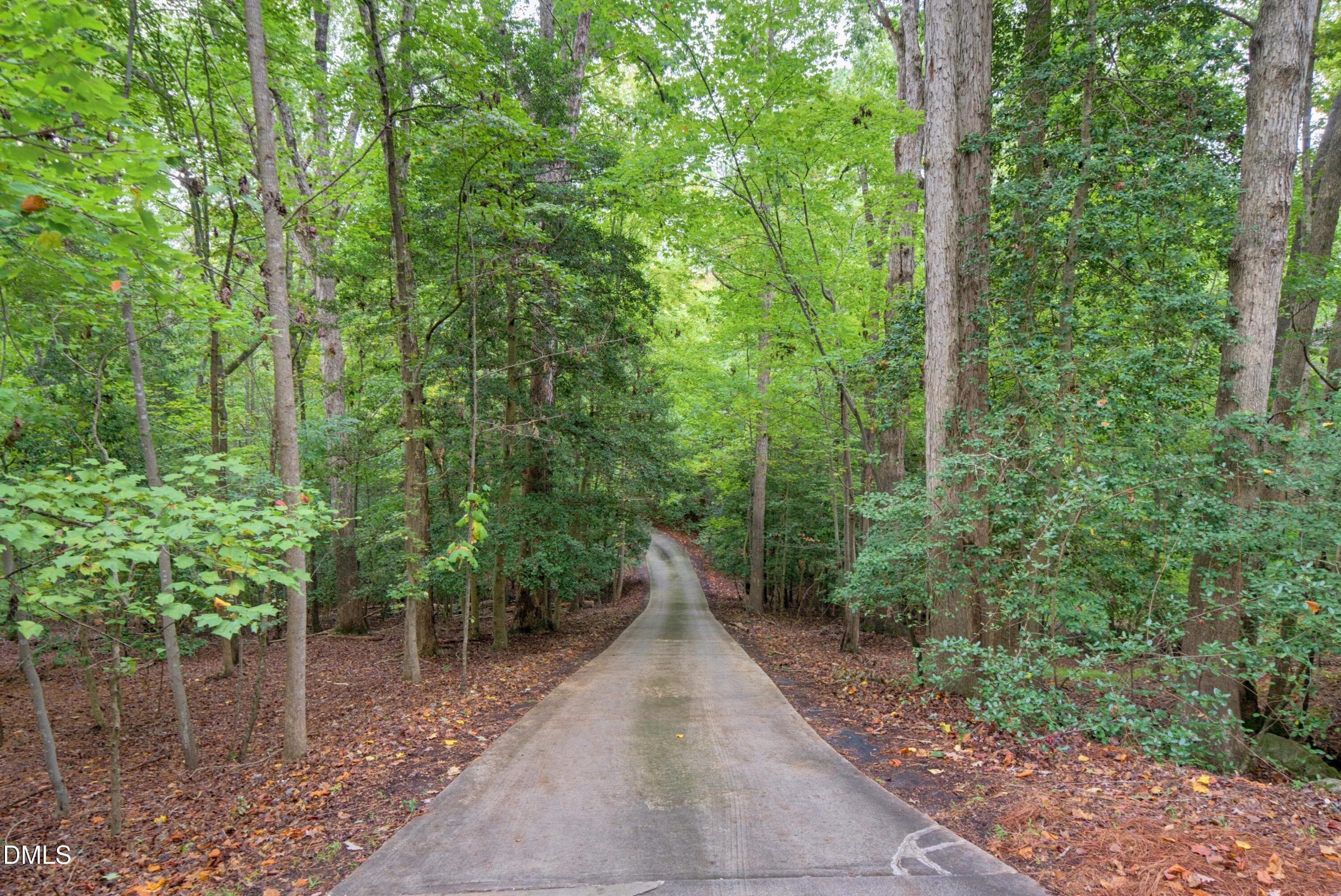 Steep downhill driveway flattens quickly - 1105 Erins Way Lane, Raleigh, NC 27614