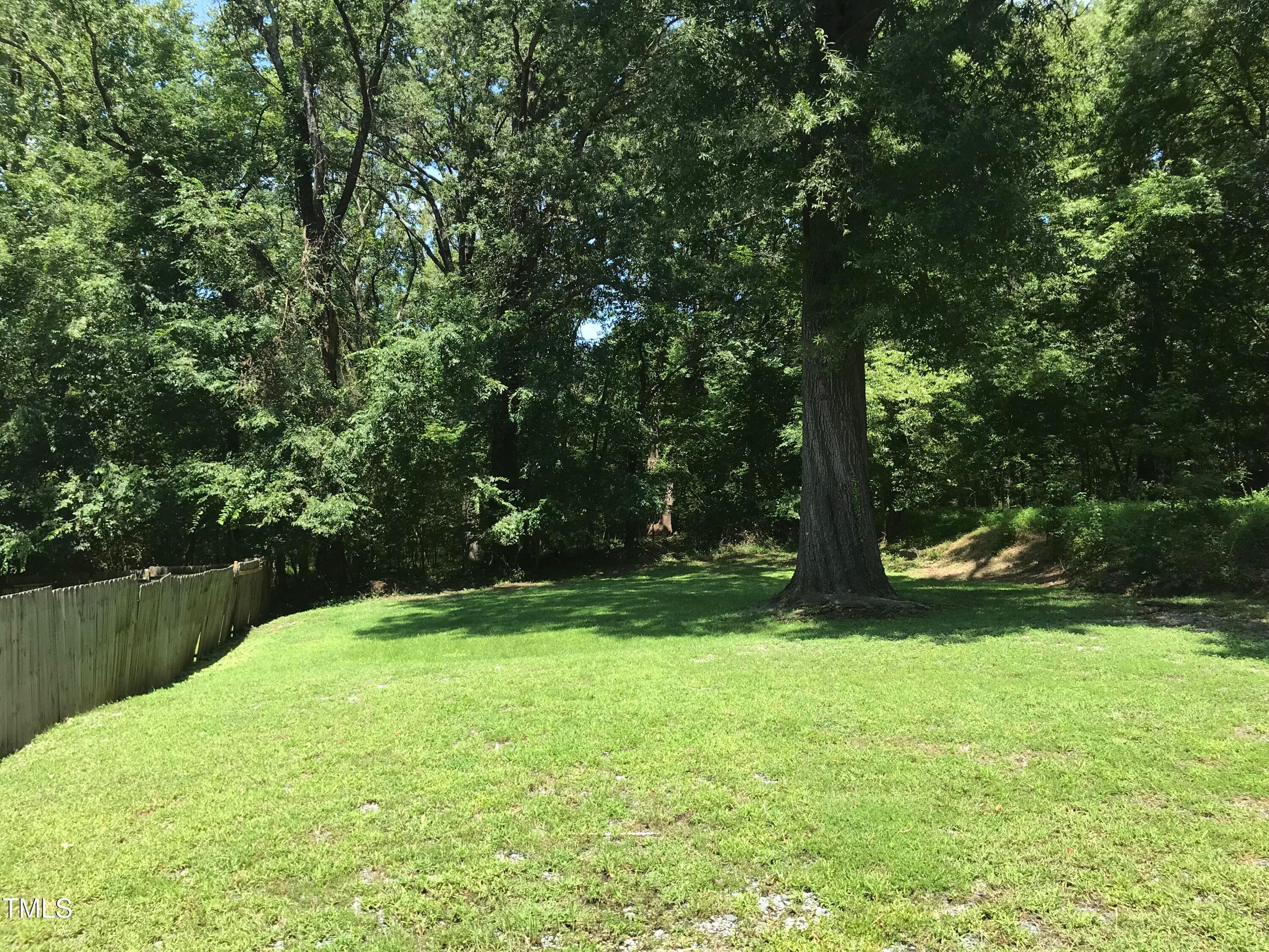 IMG_0307 - 308 E End Avenue, Durham, NC 27703