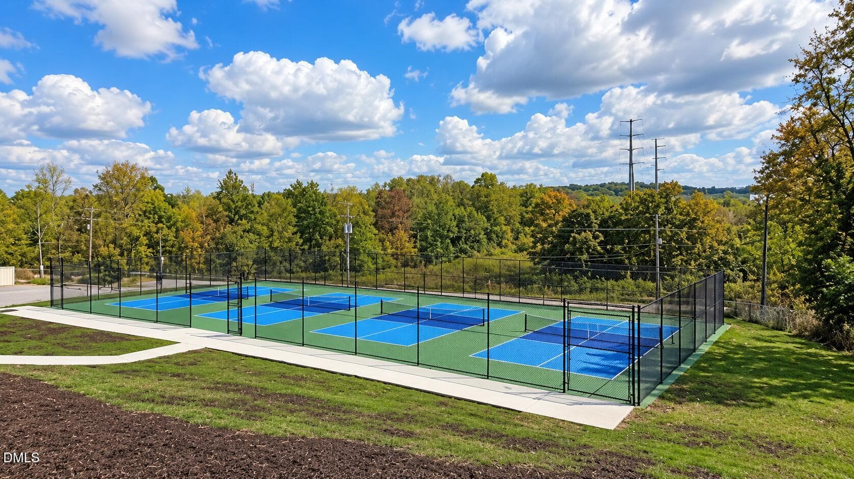 Downtown Pickleball Courts - 285 Black Forest Pointe Trail, Benson, NC 27504