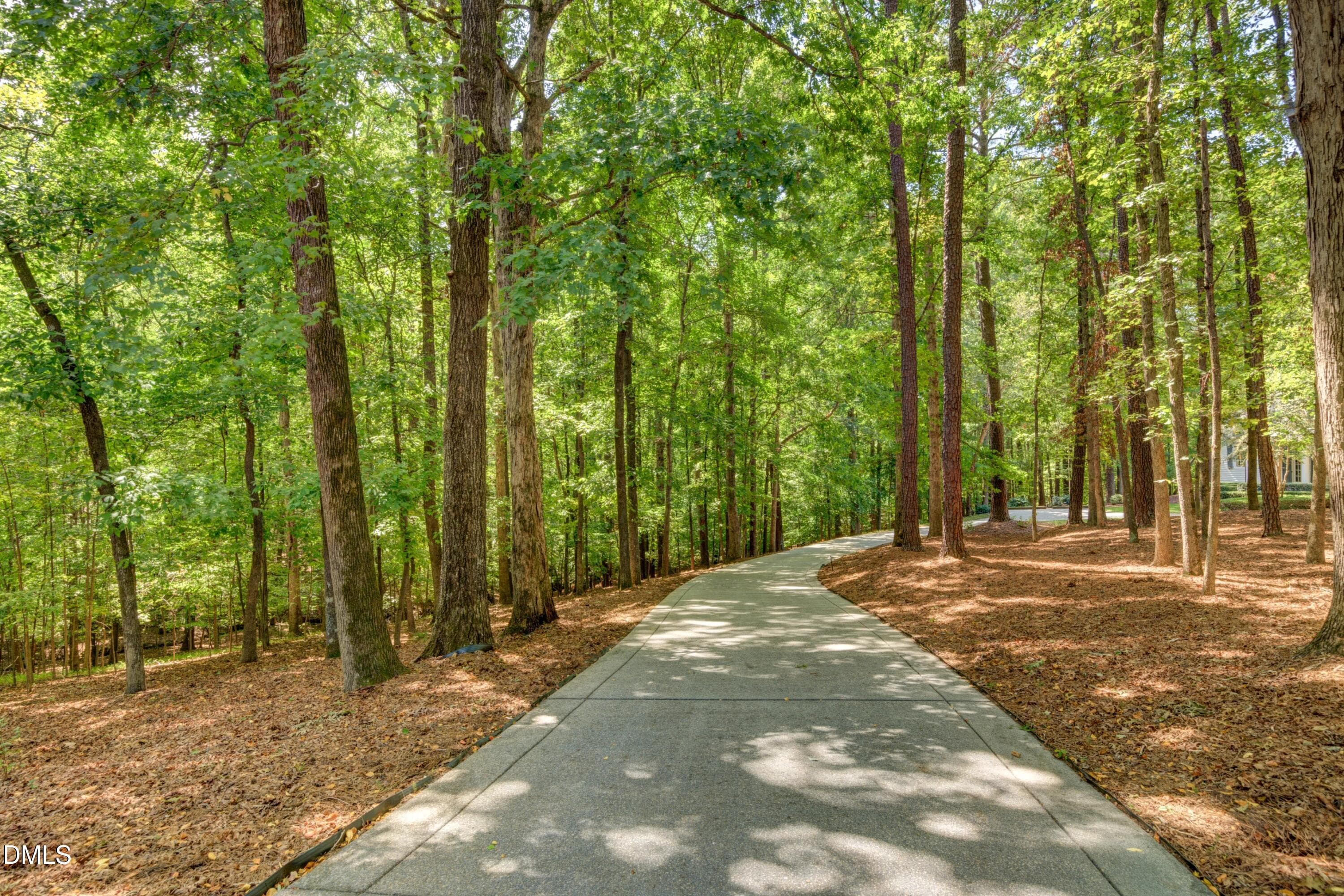 Driveway - 4332 Basal Creek Lane, Fuquay Varina, NC 27526