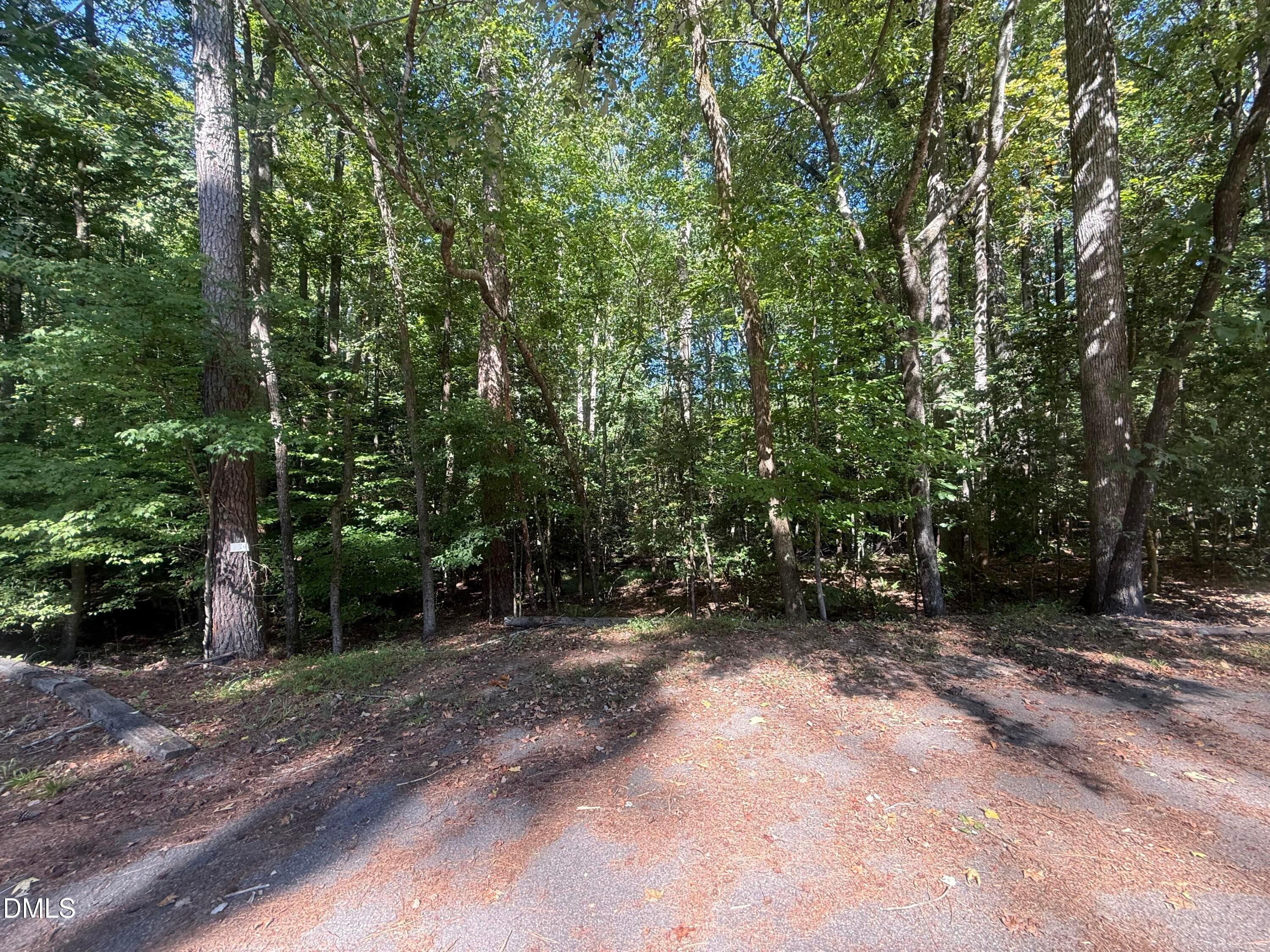 IMG_4465 - 120 Rustler Road, Louisburg, NC 27549, Louisburg