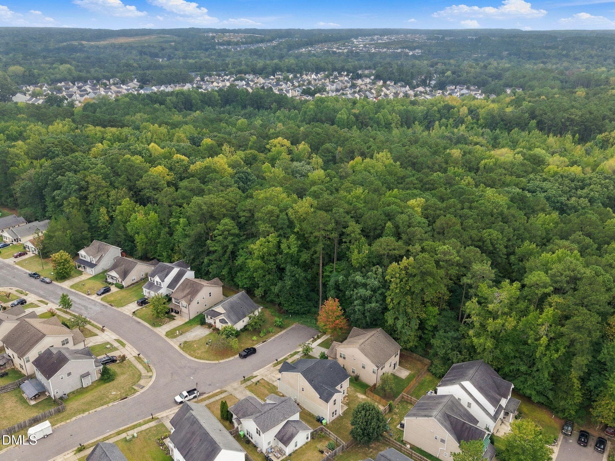 16-web-or-mls-DJI_20260922091216_0315_D - 1602 Flowering Peach Trail, Raleigh, NC 27610