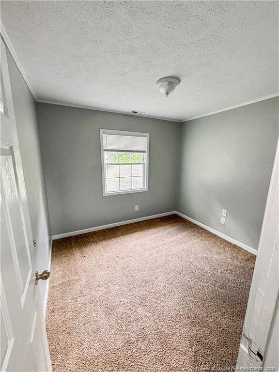 Photo 10 - 2879 County Line Road, Saint Pauls, NC 28384