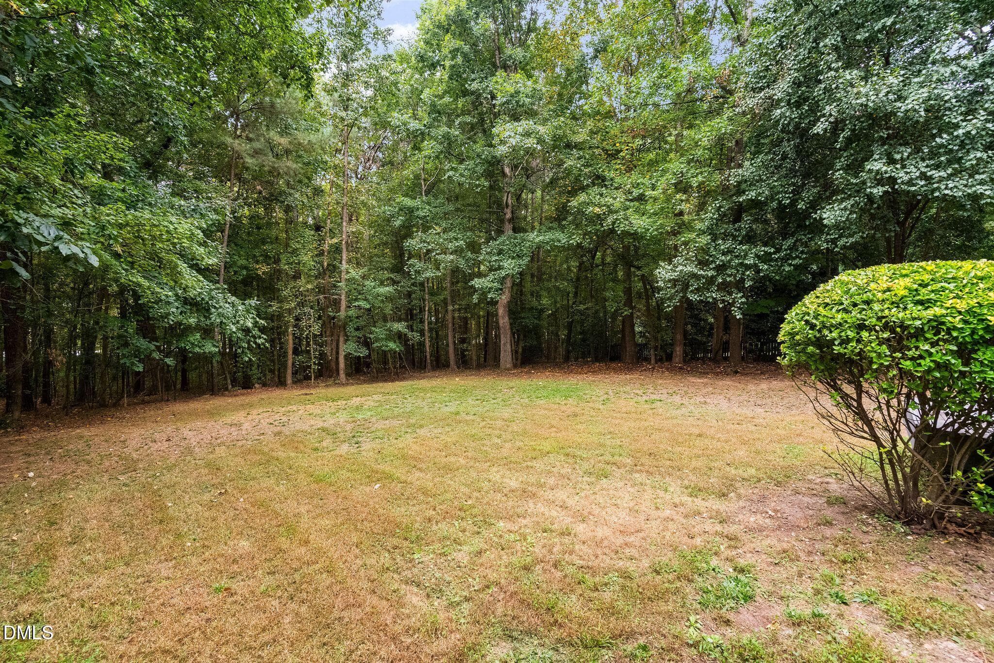 32_NJO02335 - 2909 Whitehart Lane, Raleigh, NC 27606