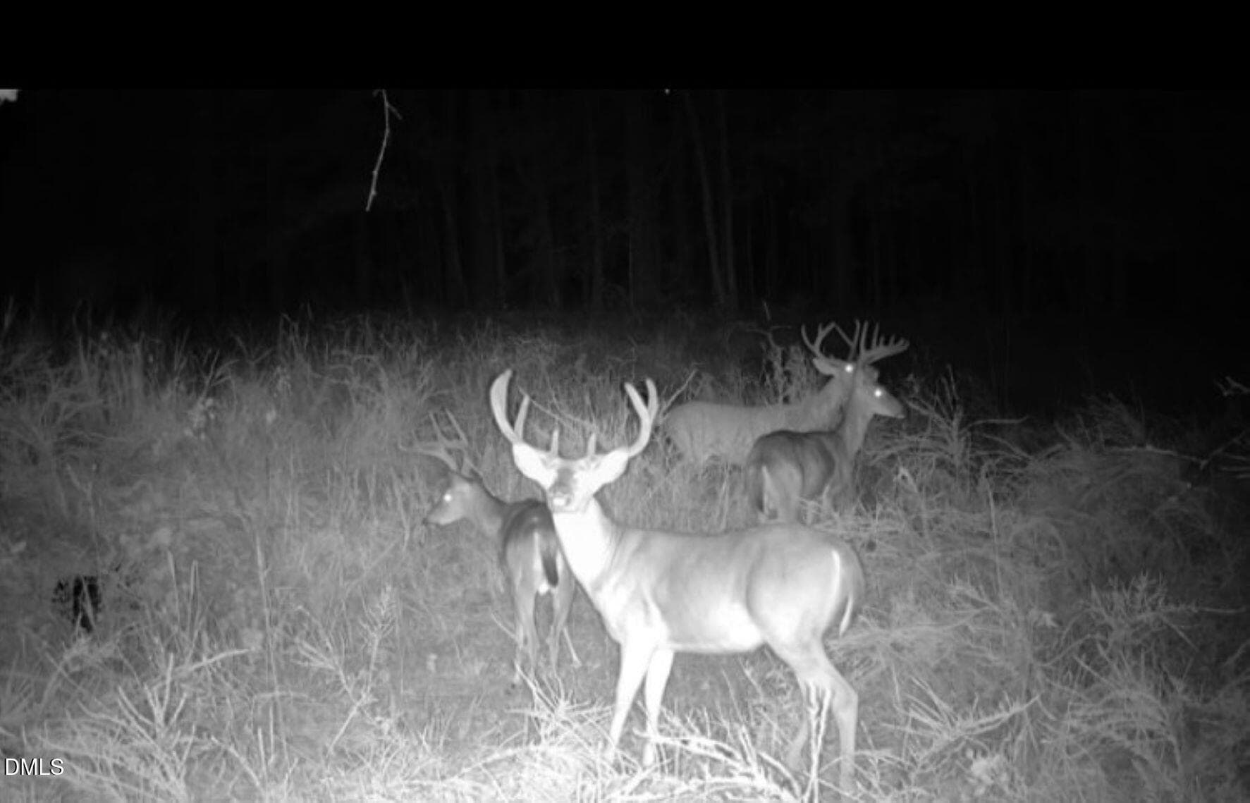 Bucks II - 0 Sunset Road, Oxford, NC 27565