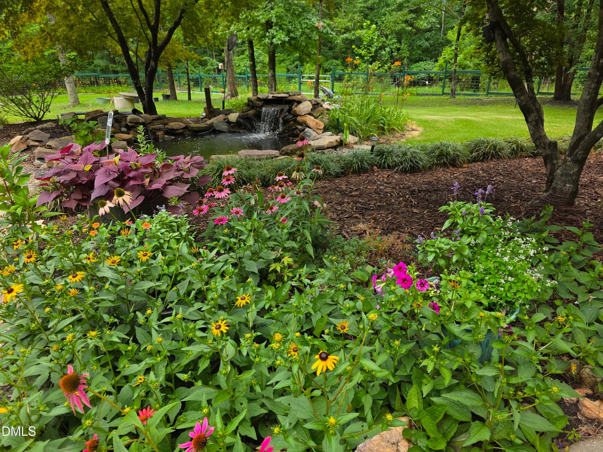 Front Garden - 221 Stillwood Drive, Wake Forest, NC 27587