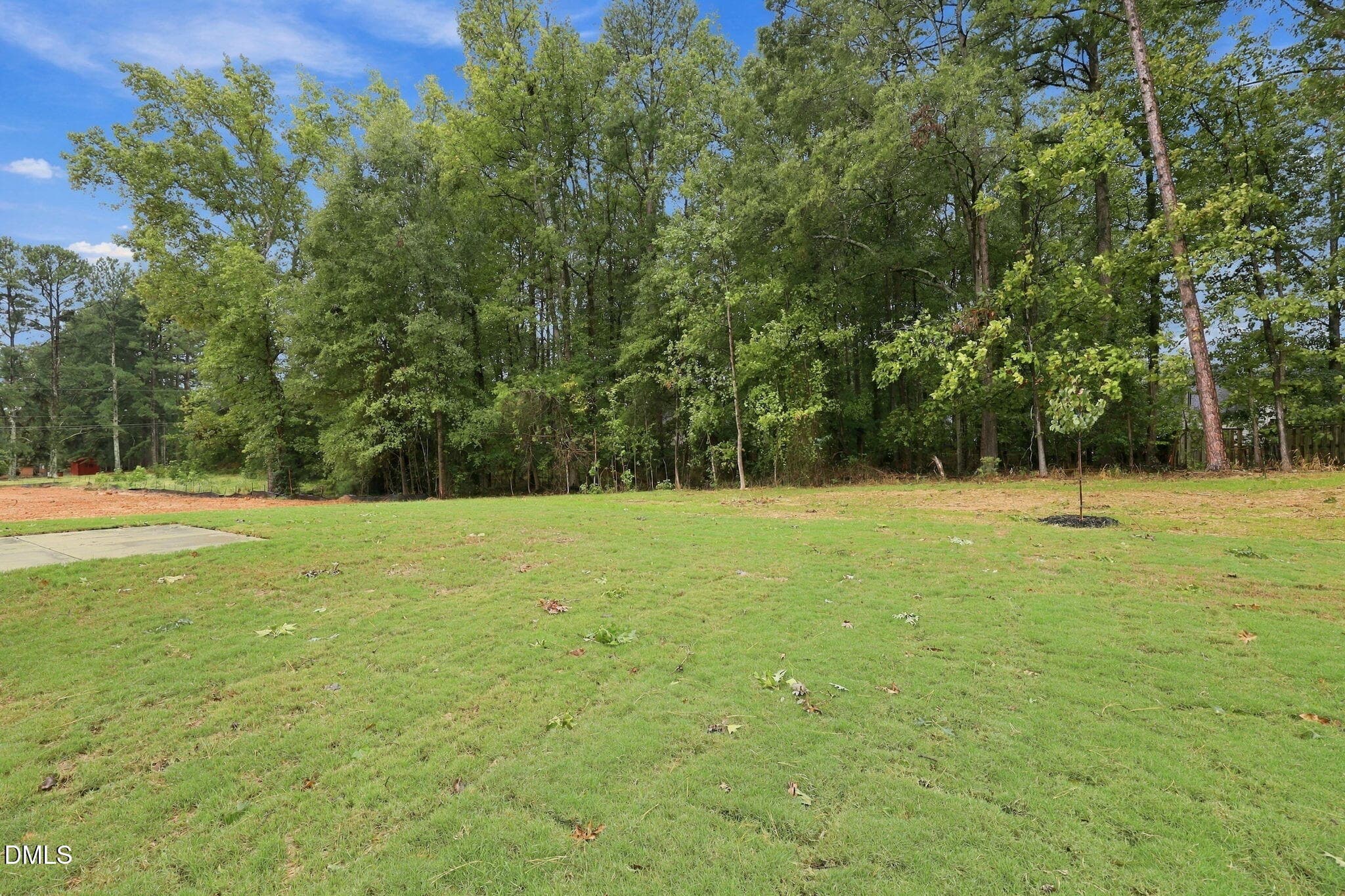 56-web-or-mls-IMG_0283 - 709 Crestview Drive, Durham, NC 27712