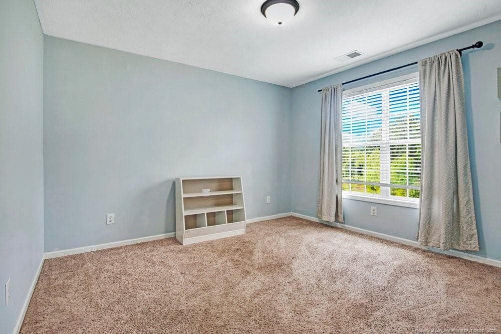 Photo 19 - 314 Woods Lane, Raeford, NC 28376