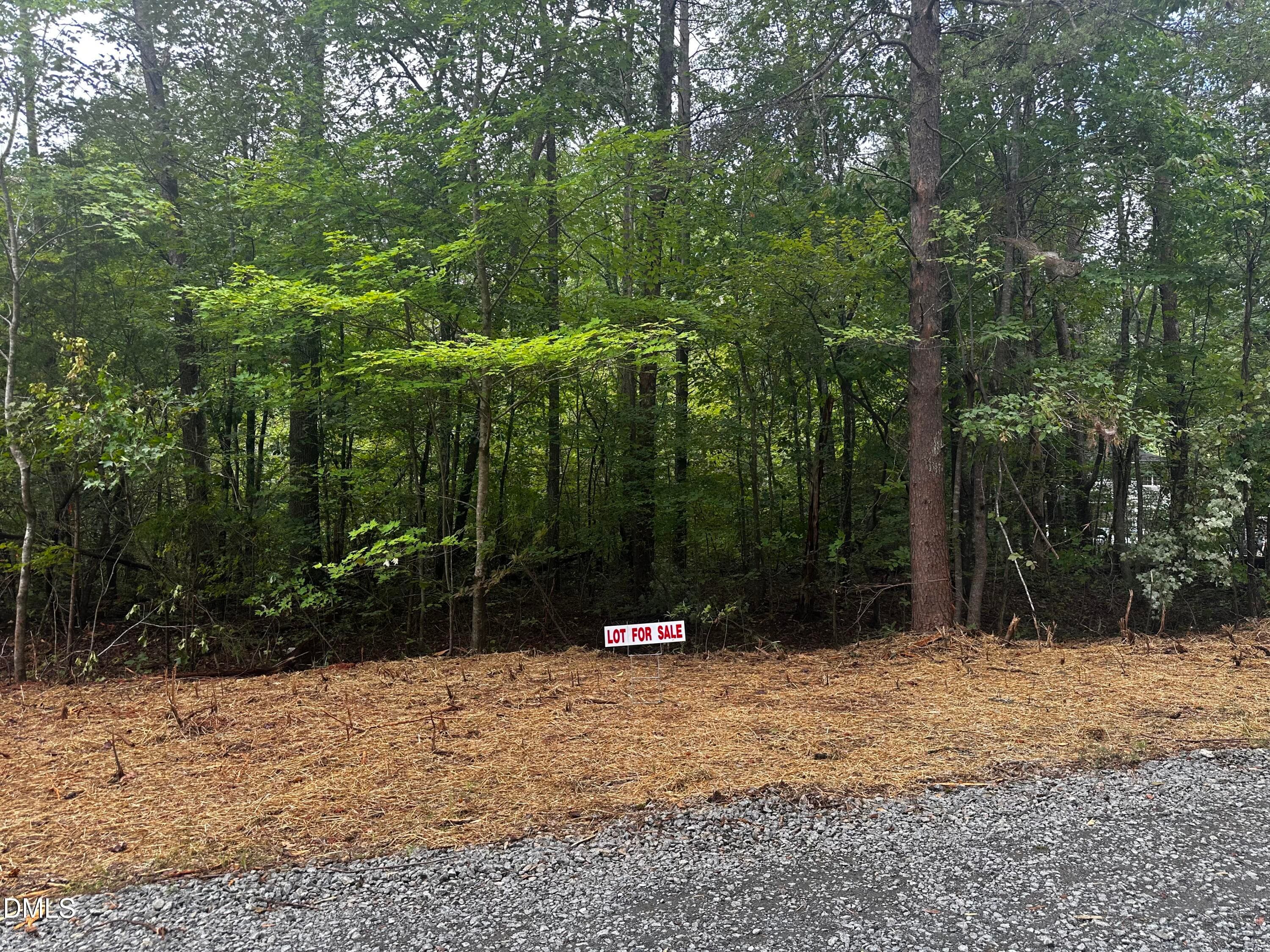 IMG_9706 - Lot 46 Green Pine Road, Cedar Grove, NC 27231