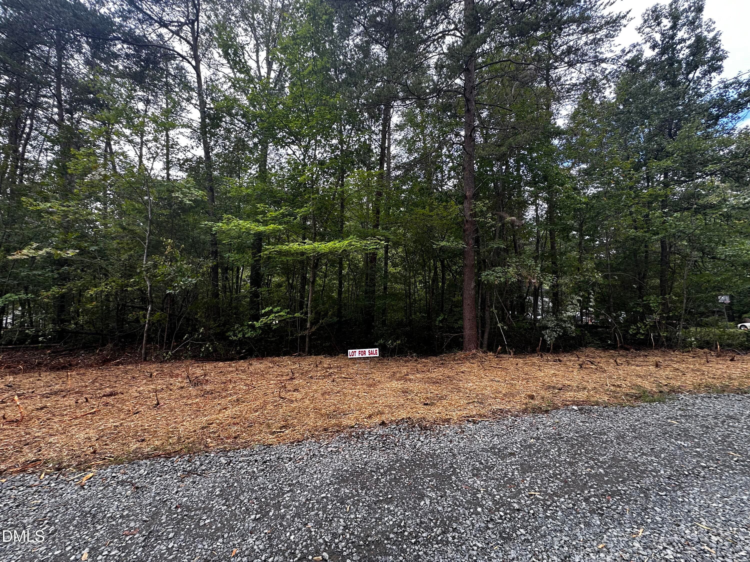 IMG_9707 - Lot 46 Green Pine Road, Cedar Grove, NC 27231