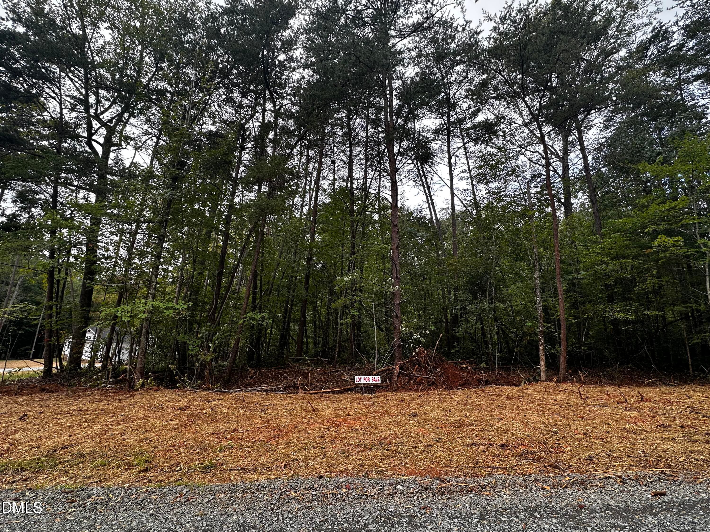 IMG_9703 - Lot 47 Green Pine Road, Cedar Grove, NC 27231