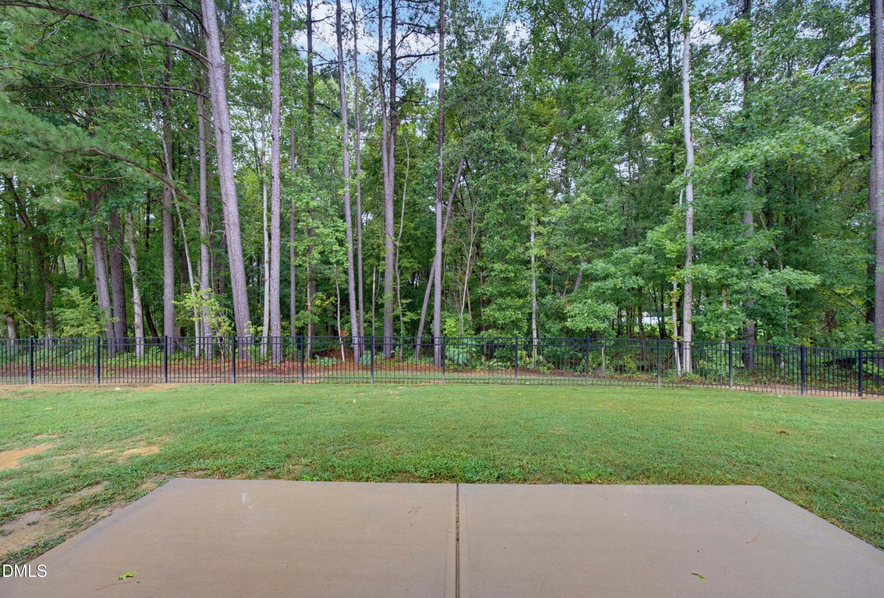 DSC02332 - 25 Pintail Lane, Youngsville, NC 27596, Youngsville
