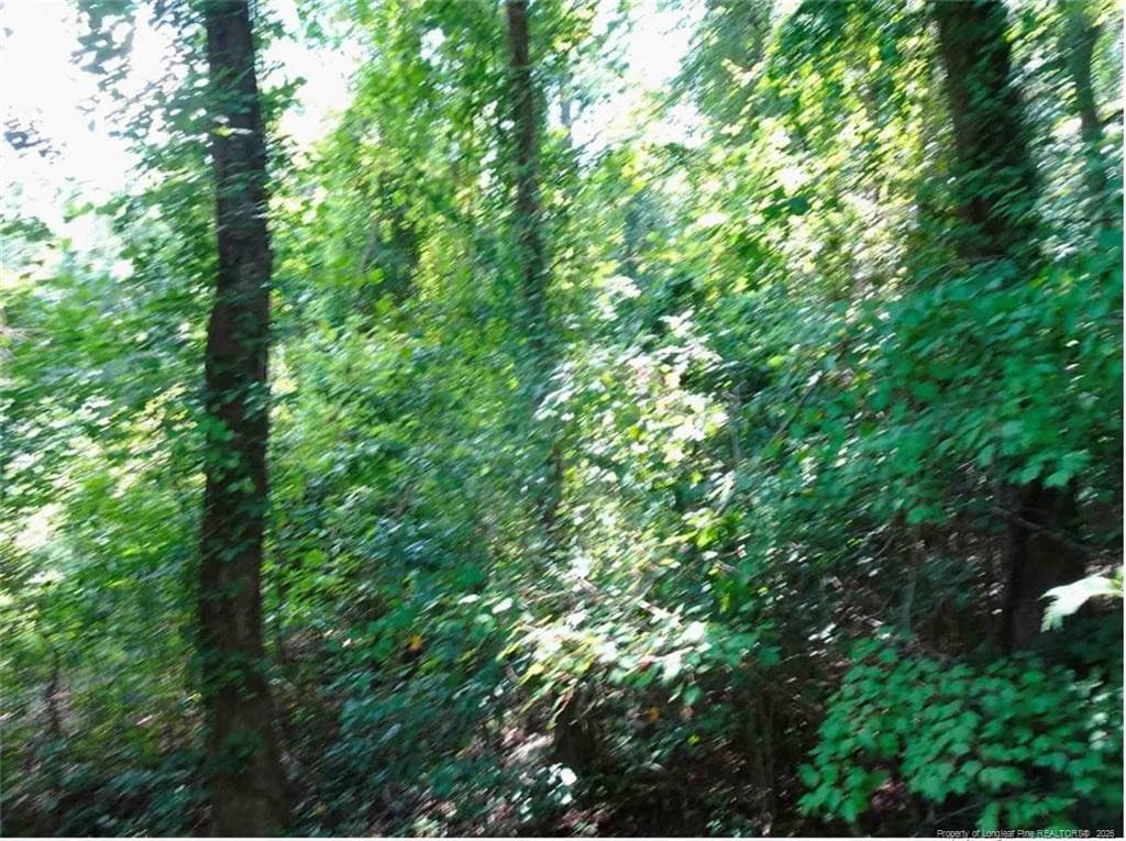 000 Gilbert Road, Eastover, NC 28312