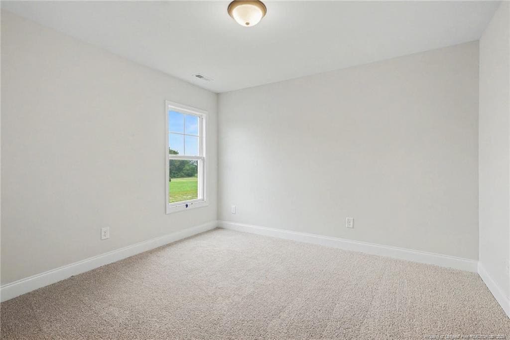 Photo 17 - 726 Brown Road, Lillington, NC 27546