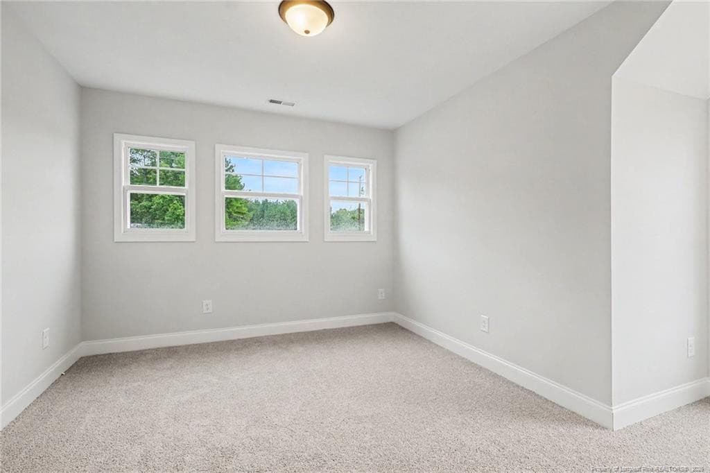 Photo 18 - 726 Brown Road, Lillington, NC 27546